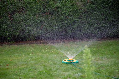Çimenlik fıskiyesi. Çayırı güzel damlacıklarla sulayan.