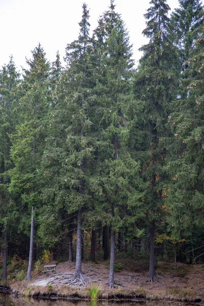 Um lago em uma floresta no outono — Fotografia de Stock