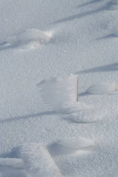 Снігові Крижані Гілки Взимку — стокове фото