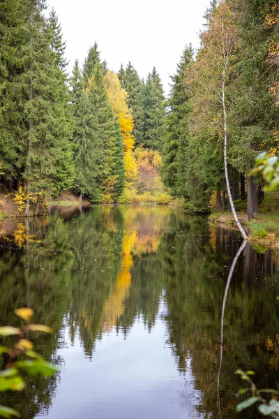 The small lake in the forest of Schoeneck in the Saxon Vogtland in autumn.