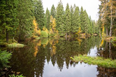 Sonbaharda Saxon Vogtland 'daki Schoeneck ormanındaki küçük göl..