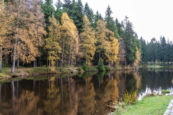 Het Meertje Het Bos Van Schoeneck Het Saksische Vogtland Herfst — Stockfoto