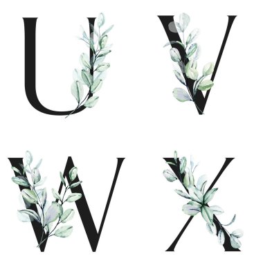 Çiçek alfabesi, U, V, W, X harfleri, yaratıcı suluboya resim.