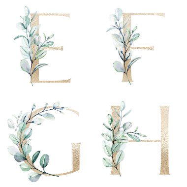 Çiçek alfabesi, E, F, G, H harfleri, yaratıcı suluboya resim.