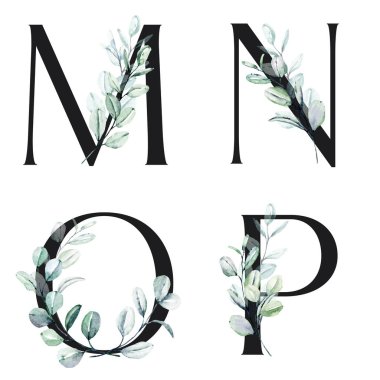 Çiçek alfabesi, M, N, O, P harfleri, yaratıcı suluboya resim.