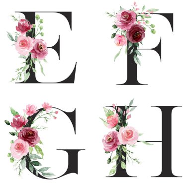 Çiçek alfabesi, E, F, G, H harfleri, yaratıcı suluboya resim.