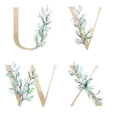 Çiçek alfabesi, U, V, W, X harfleri, yaratıcı suluboya resim.