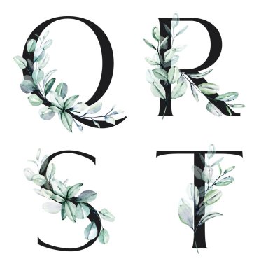 Çiçek alfabesi, Q, R, S, T harfleri, yaratıcı suluboya resim.