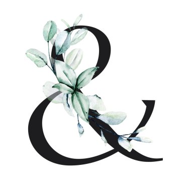 ampersand symbol on white background, watercolor painting with flowers