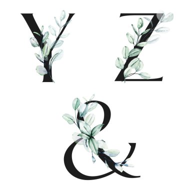 Çiçek alfabesi, Y, Z harfleri ampersand sembolü, yaratıcı suluboya resim