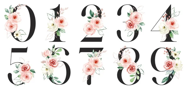 Numbers Floral Elements Watercolor Art Painting — Stock Photo, Image