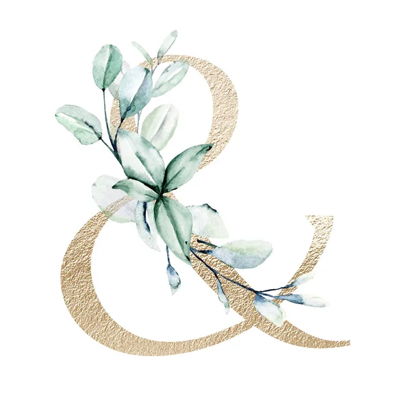 Ampersand Symbol White Background Watercolor Painting Flowers — 스톡 사진