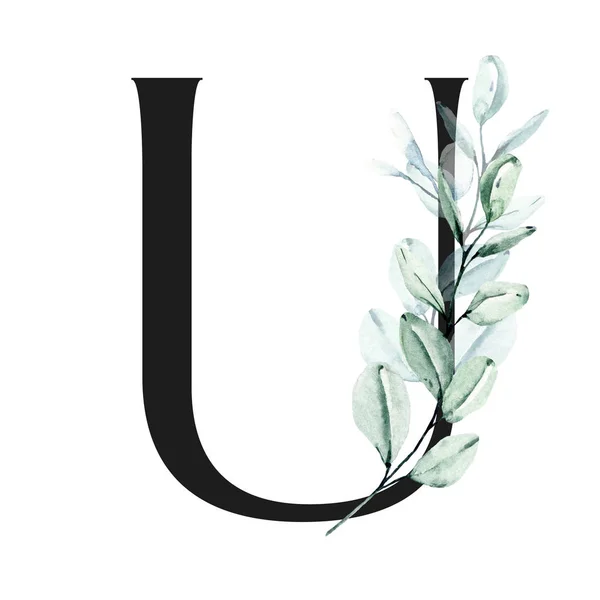 水彩画 字母U与花和叶子 花卉字母表 — 图库照片