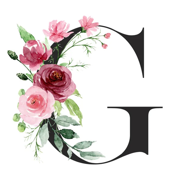 水彩画 字母G与花和叶子 花卉字母表 — 图库照片