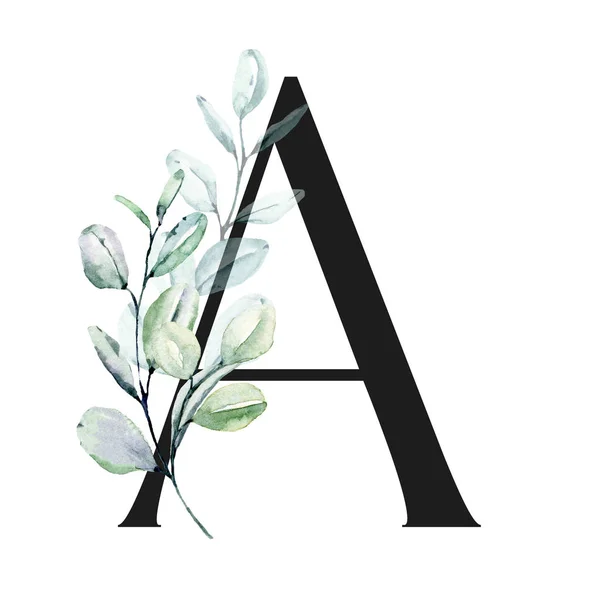 Watercolor Art Painting Letter Flowers Leaves Floral Alphabet — 스톡 사진