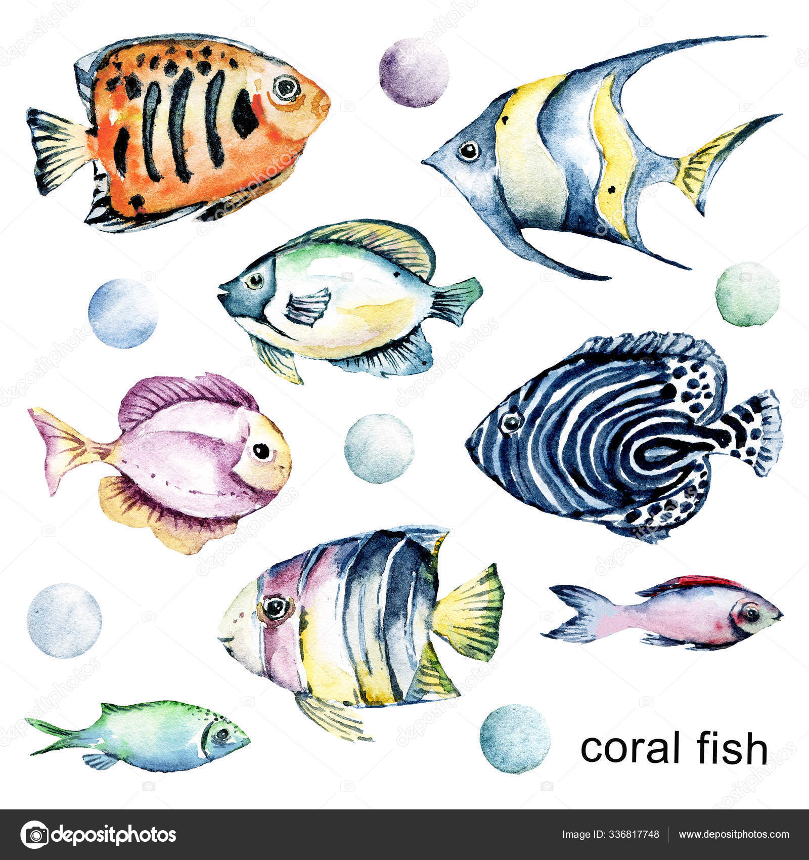 Watercolor Fish Set Sea Animals Ocean Life Watercolor Cartoon Marine Stock  Photo by ©MaslovaLarisa 336817748