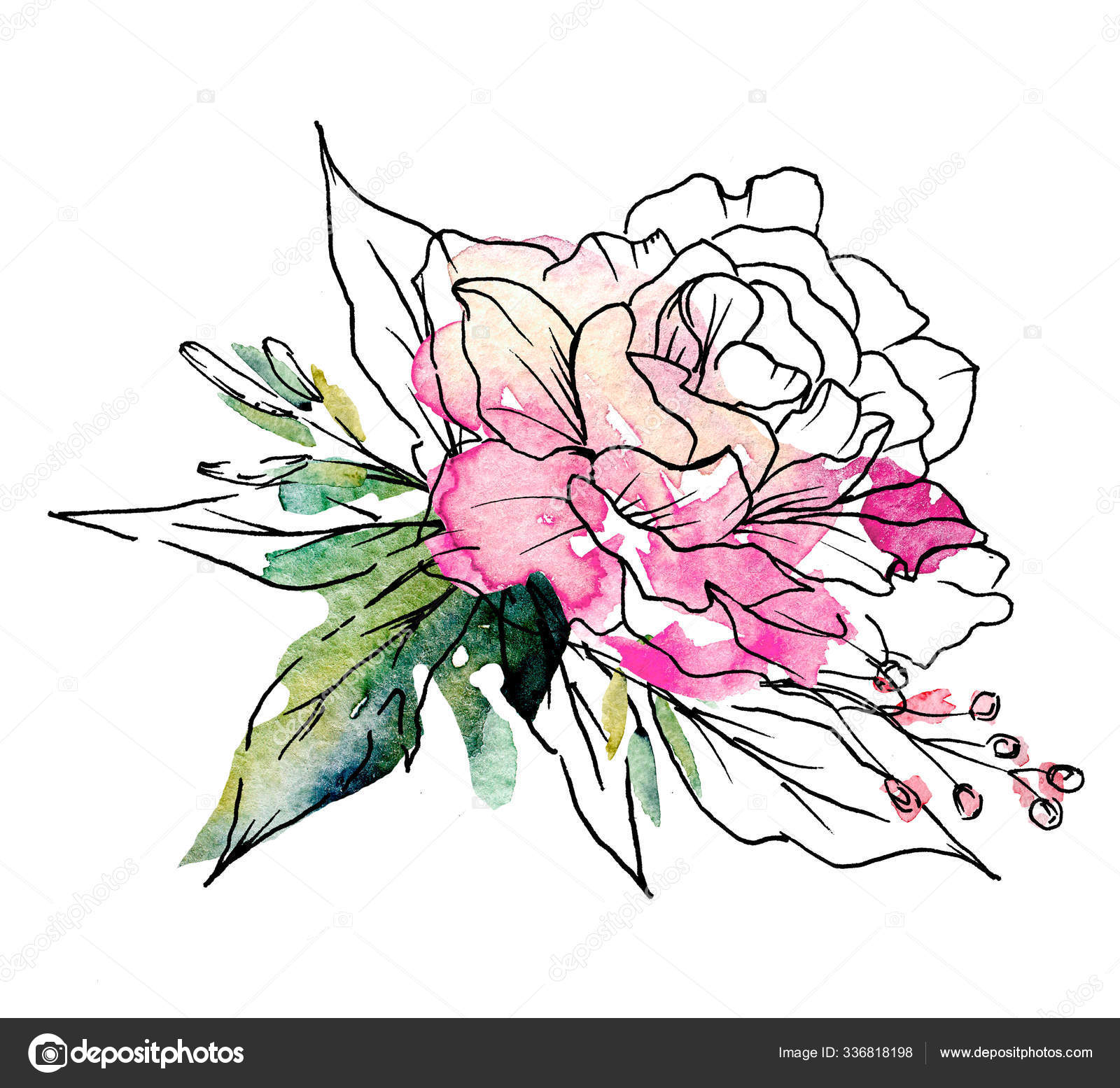 Watercolor Line Drawing Flowers Best Flower Site