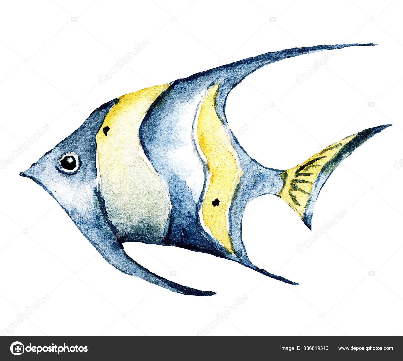 Tropical Fish Watercolor Sea Animal Ocean Underwater Life Cartoon Marine  Stock Photo by ©MaslovaLarisa 336819346