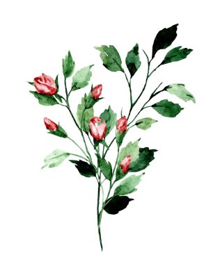branches with watercolor drawing flowers and leaves, floral concept