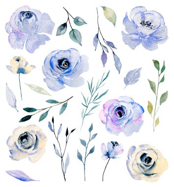 Bir dizi suluboya çiçek çizimi, klasik dekorasyon.