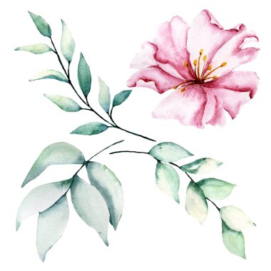 Bir dizi suluboya çiçek çizimi, klasik dekorasyon.