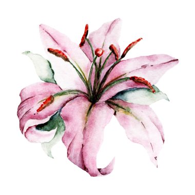  Beyaz arka planda el resmi, suluboya çiçek sanatı konsepti