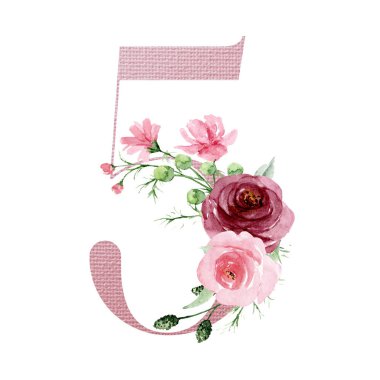 5 numara, elle çizilmiş suluboya resim tasarımı. 