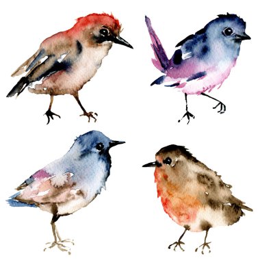 Birds, set watercolor painting, wildlife isolated on white background