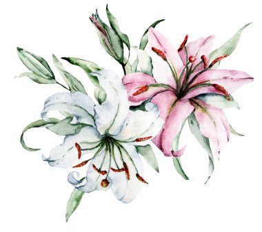 Yapraklı el zambakları, suluboya resim