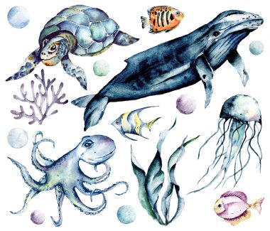 Su altı hayvanları seti, balık, balina, kaplumbağa, ahtapot. Deniz, okyanus hayatı, suluboya karikatür deniz konsepti. Çocukların tekstil, poster ve kartpostallarını basmak için birebir. Beyazda izole edilmiş. El boyası.