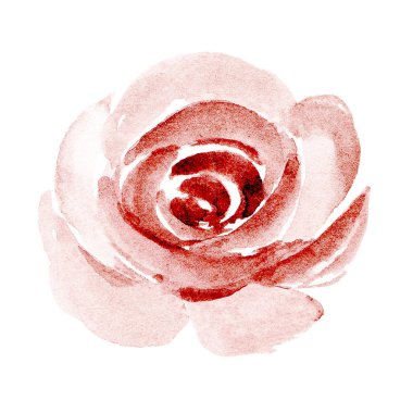  Beyaz arka planda el resmi, suluboya çiçek sanatı konsepti