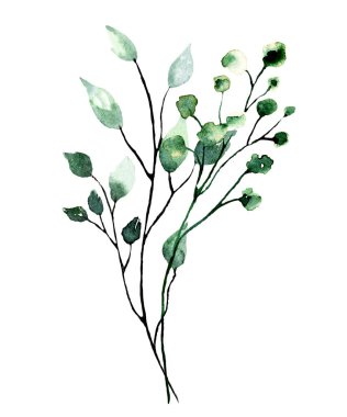branches with watercolor drawing flowers and leaves, floral concept