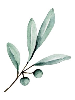 Suluboya yeşil bitki. Beyaz arkaplanda el boyaması çiçek tasarımı 