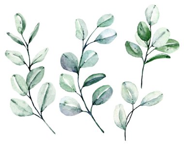 Suluboya yeşil bitkiler. Beyaz arkaplanda el boyaması çiçek tasarımı