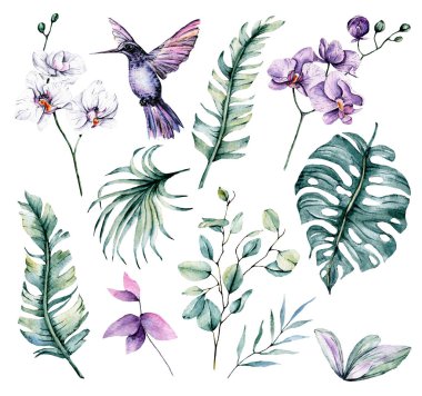 Kolibri kuşlu tropikal yapraklar ve çiçekler, suluboya resim 