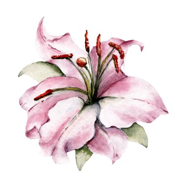  Beyaz arka planda el resmi, suluboya çiçek sanatı konsepti