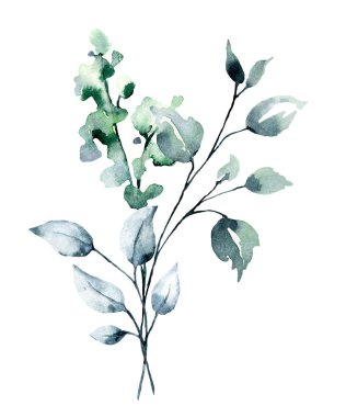branches with watercolor drawing flowers and leaves, floral concept