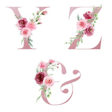 Çiçek alfabesi, Y, Z harfleri ampersand sembolü, yaratıcı suluboya resim