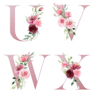 Çiçek alfabesi, U, V, W, X harfleri, yaratıcı suluboya resim.