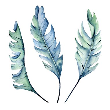 Suluboya yaprakları, dallar, çiçek desenli eski tablolar...