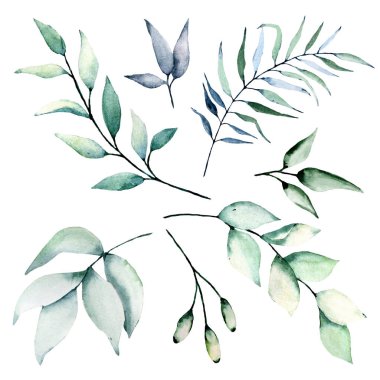 Suluboya yaprakları, dallar, çiçek desenli eski tablolar...