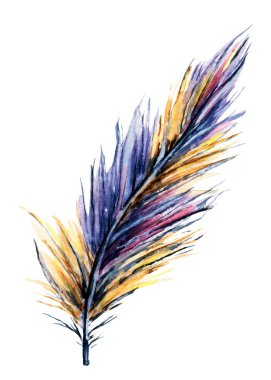 Mor, sarı kuş tüyü. Suluboya el çizimi çizimi. Beyaz arka planda izole edilmiş. Kartlar, pankartlar, posterler ve diğer yazdırma projeleri için tasarım.