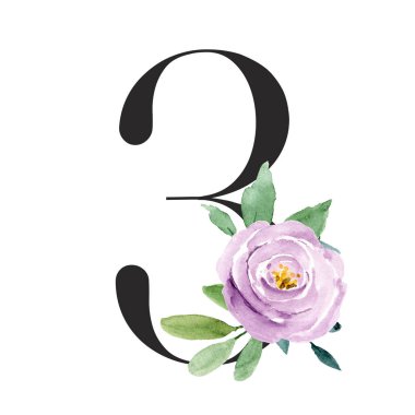 stylish watercolor painting with floral elements, number 3 on white background
