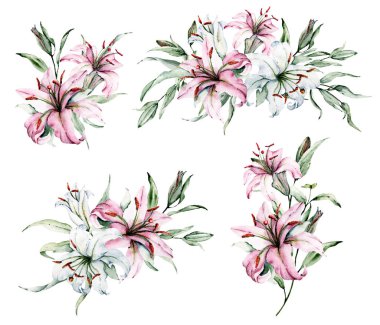 Yapraklı el zambakları, suluboya resim