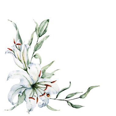 güzel çiçekli zambaklar, suluboya resim