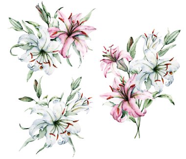 Beyaz arka planda izole zambaklar, suluboya resim