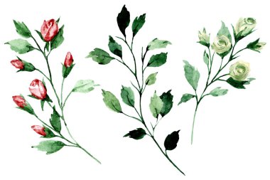 branches with watercolor drawing flowers and leaves, floral concept