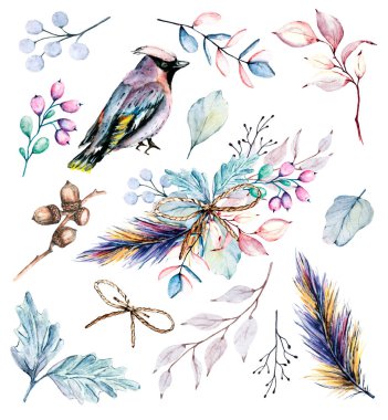 Dalları, kuşları ve farklı çiçek elementleri olan güzel suluboya seti.