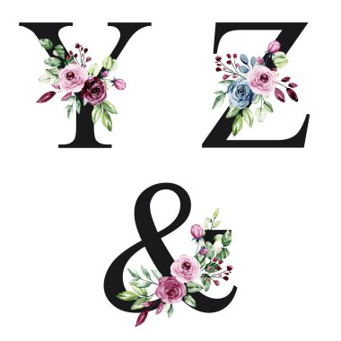 floral alphabet, letters Y, Z and ampersand symbol with watercolor flowers, creative art design, monogram initials