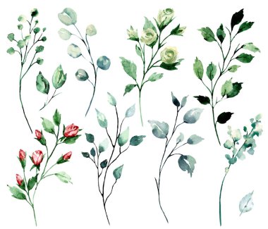 branches with watercolor drawing flowers and leaves, floral concept
